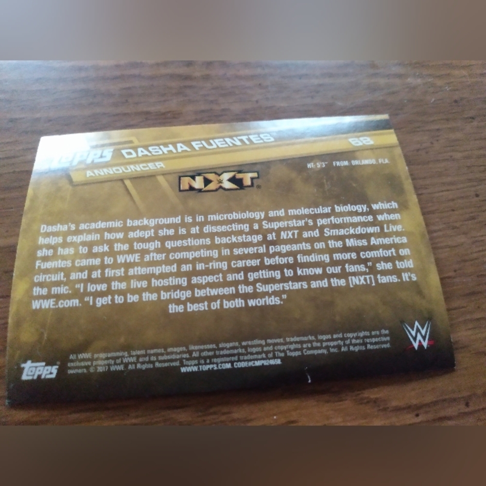Set of 4 - Dasha Fuentes, Scott Dawson, Zack Ryder and The Miz Topps Cards - Picture 7 of 9